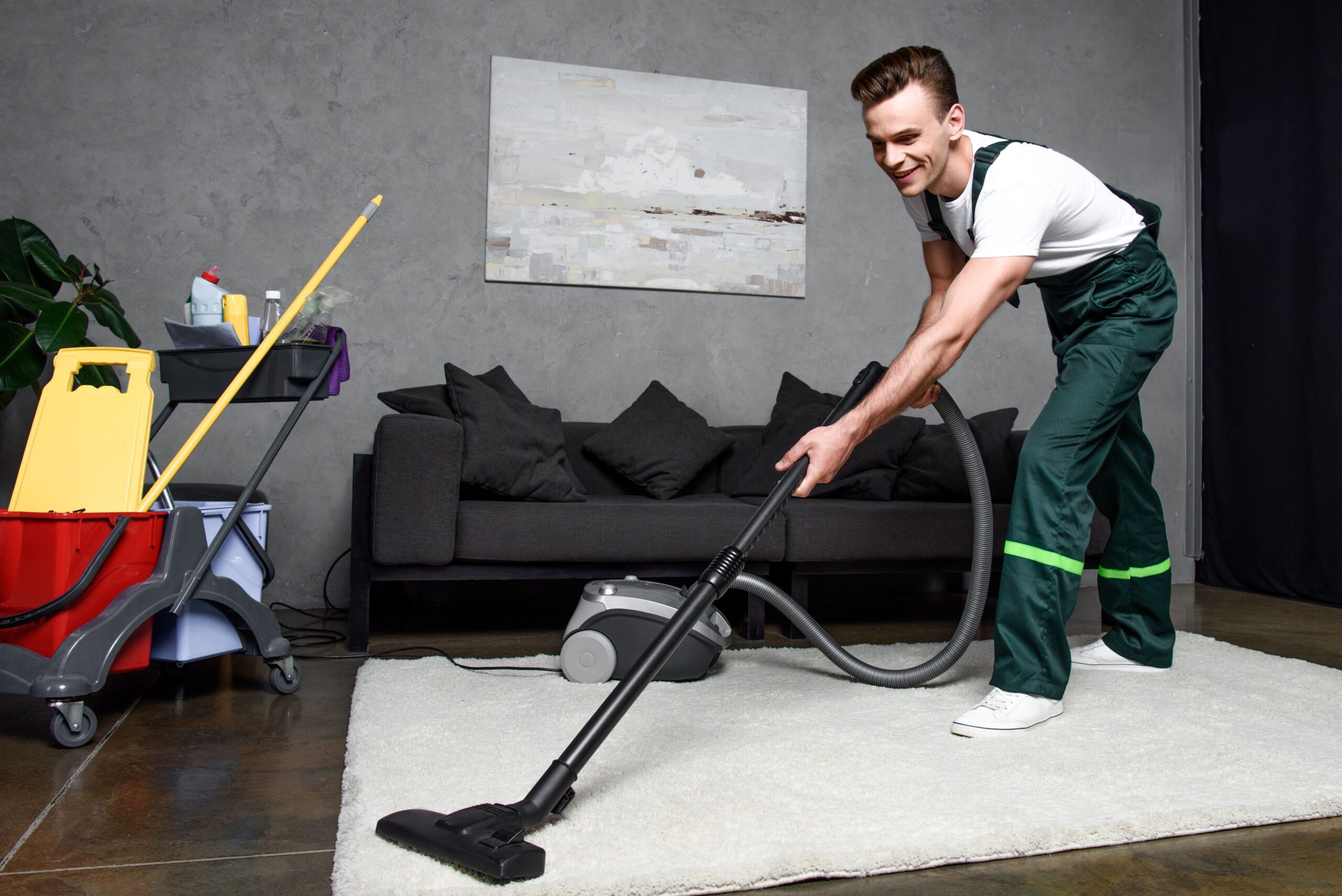 professional-carpet-cleaning Carpet Cleaning